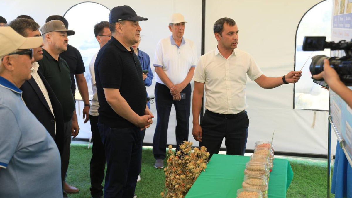 Аграрии Каргалинского района готовы развивать селекцию зерновых культур