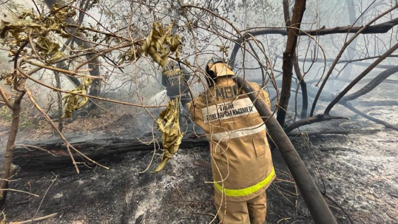  ТЖД-нің баспасөз қызметі 