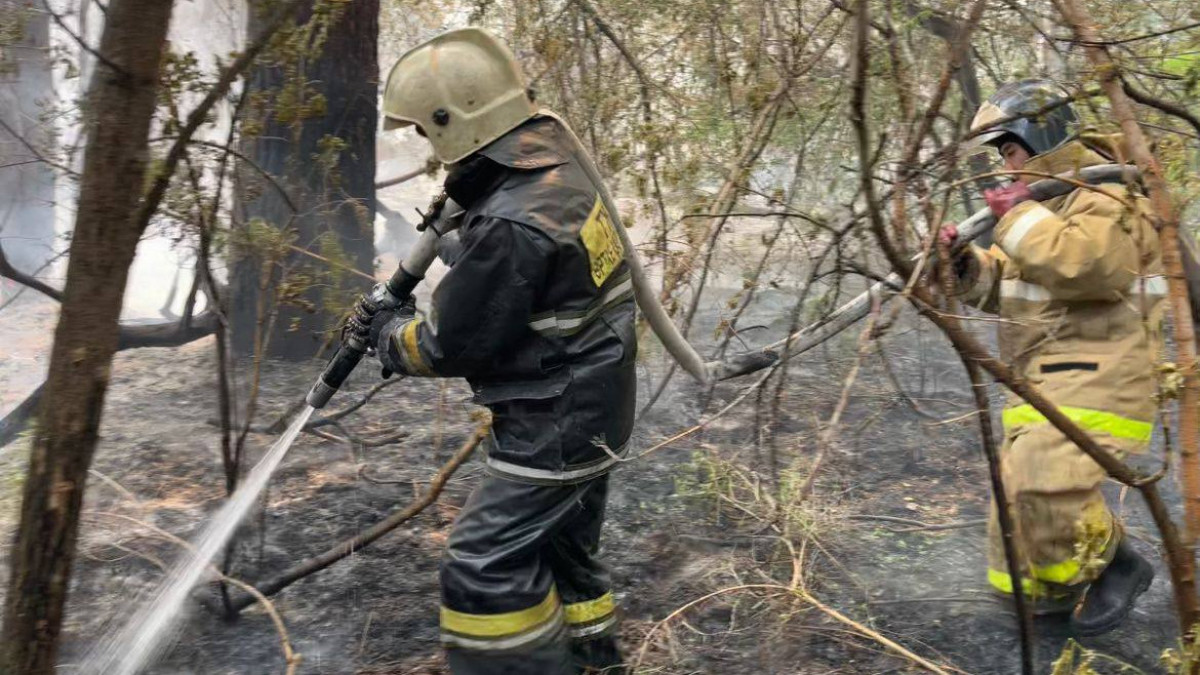 Семьи погибших при пожаре в области Абай получат по 3 миллиона тенге