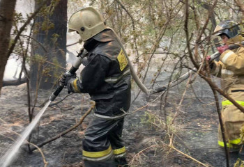 Семьи погибших при пожаре в области Абай получат по 3 миллиона тенге