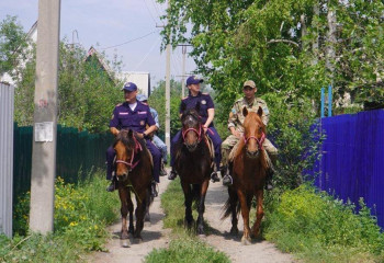 Шығыс Қазақстан құтқарушылары қызмет барысында ат патрулін пайдаланады