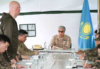 Уроки не извлечены, не выстроена работа по раннему обнаружению лесных пожаров - Токаев