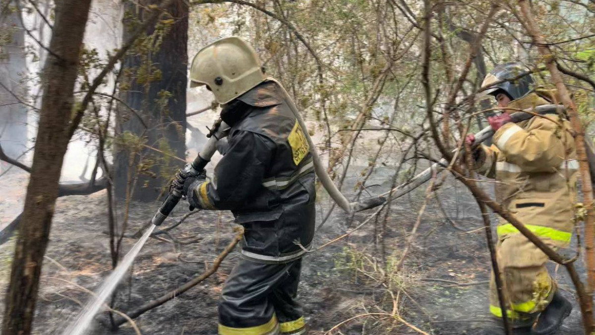 Уголовное дело завели по факту пожара в Абайской области