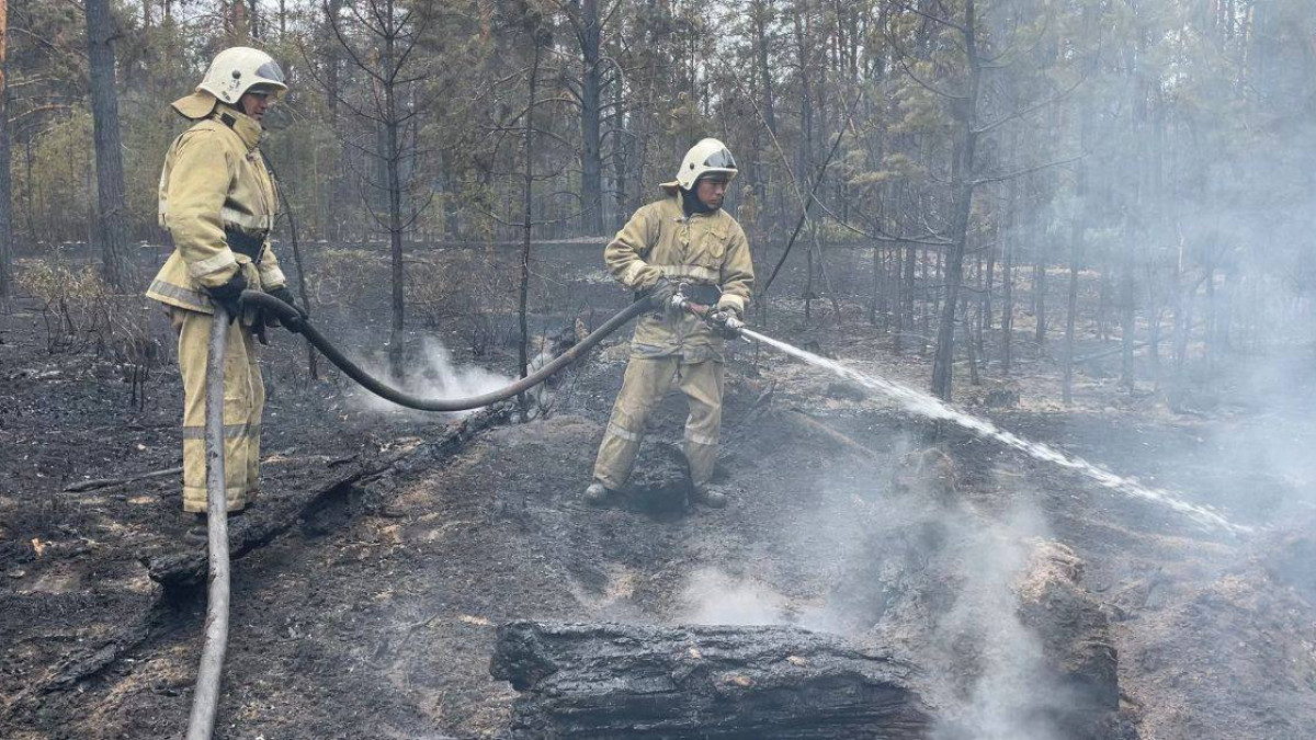 Минэкологии создаст комиссию по пожару в области Абай