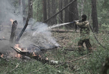 Абай облысындағы өрт. Бас прокуратура қылмыстық іс қозғады