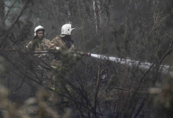 Жастар Семейдегі өрттен зардап шеккен ауылдарға түскі ас ұйымдастырды