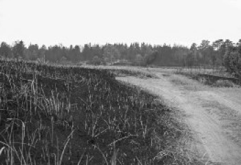 В Алматы собирают гуманитарную помощь для жителей Абайской области