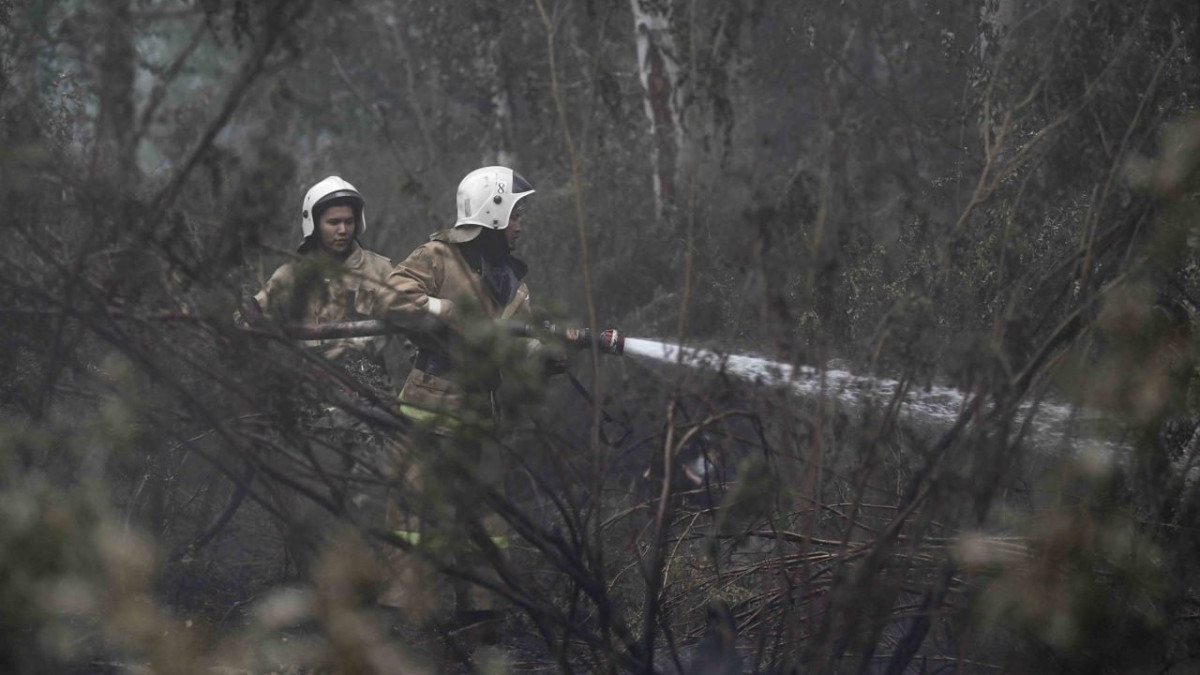 Удалось остановить распространение пожара - новый министр по ЧС о горящем лесе в области Абай