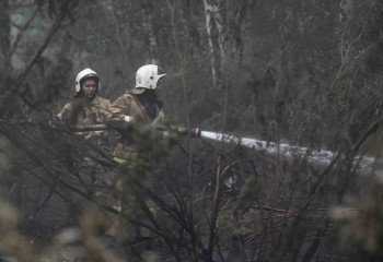 Удалось остановить распространение пожара - новый министр по ЧС о горящем лесе в области Абай