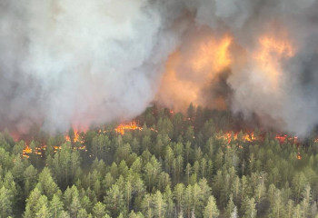 64 ребенка эвакуировали из сел области Абай