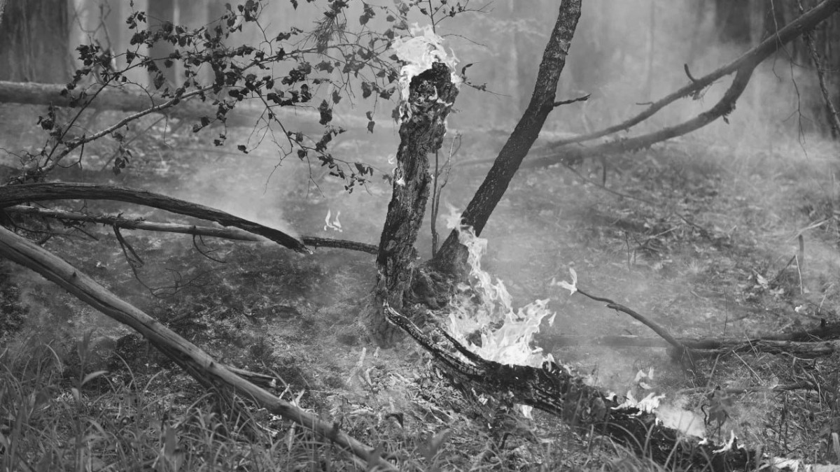  акимат области Абай 