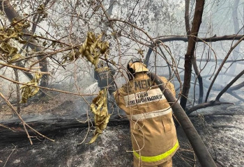 Семейдегі өрт: Қаза тапқан қызметкерлердің балалары сауықтыру орталығына демалысқа жіберіледі