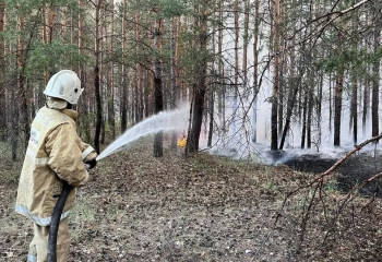 Абай облысындағы өрт: қаза тапқандардың отбасыларына тұрғын үй беріледі