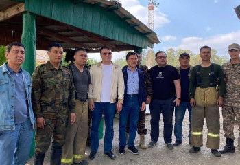 Орманның ортасында таздың төбесіндей кесілген ойықтар бар – Ринат Зайытов