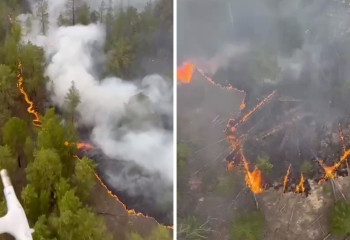 «Үш үй мен екі техника өртеніп кетті». Әкім Абай облысындағы ахуал жайлы