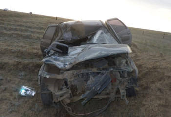 БҚО-да жылқы мен жеңіл көліктің соқтығысуынан бір адам көз жұмды