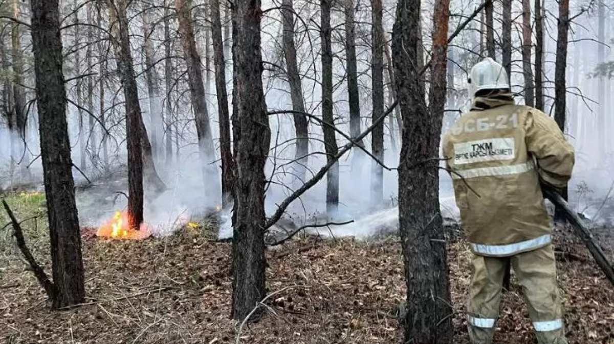 Узбекистан и Турция выразили готовность помочь при тушении пожара в области Абай