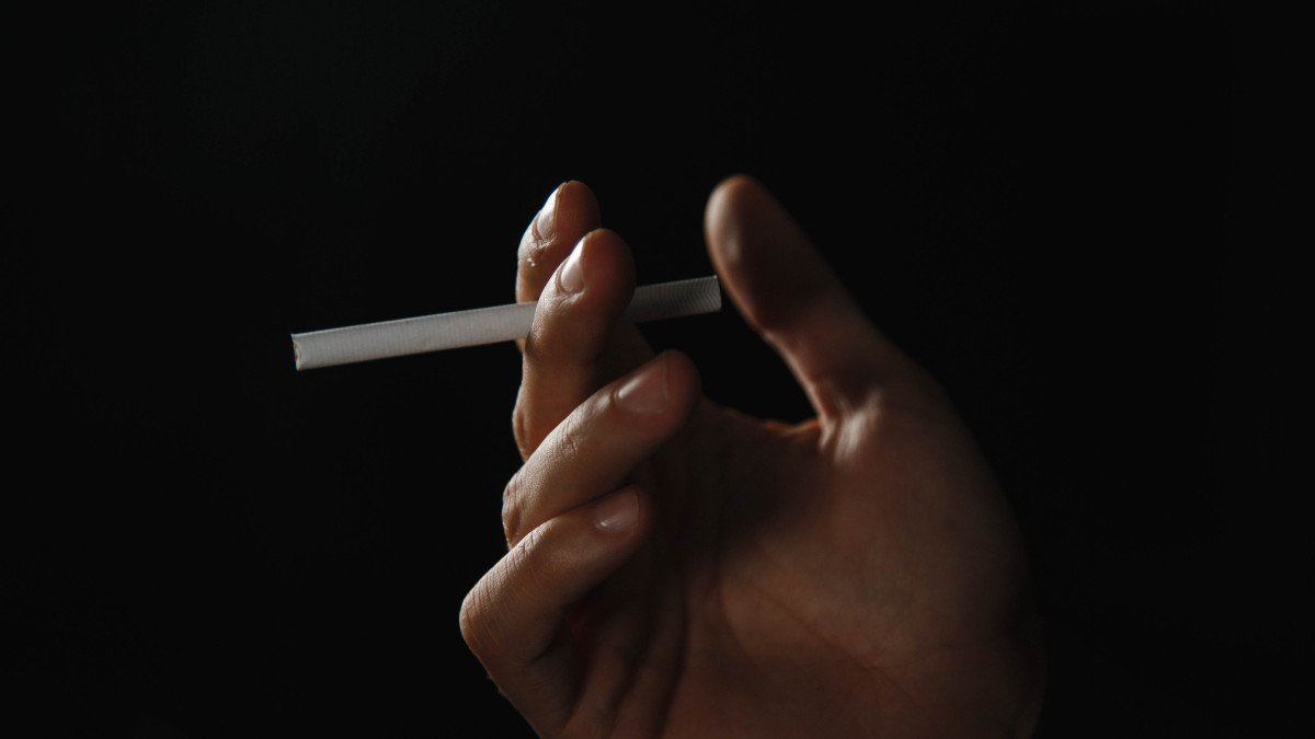  ©El.kz/Жалғасбек ТОҚТАМЫСОВ 