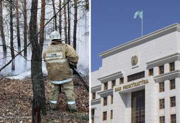 Абай облысындағы орман өртіне байланысты қылмыстық іс қозғалды – Бас прокуратура