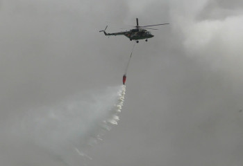 Более 3500 тонн воды летчики Минобороны сбросили на горящий лес в Абайской области