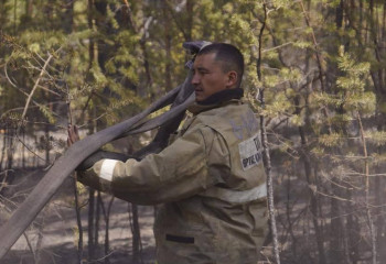 Жалақысы 70 мың теңге: Қазақстанда 123 орманшы жетіспейді