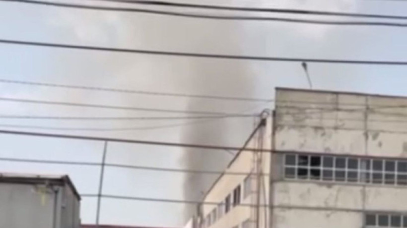  Видеодан кадр 