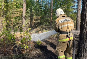 Абайдағы орман өрті оқшауланып, тұрғындар үйлеріне қайтарылды