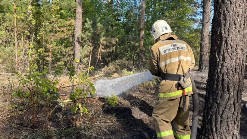  ТЖМ баспасөз қызметі 