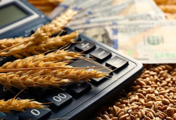 «Азық – түлік корпорациясы» ұлттық компаниясы тексерілді