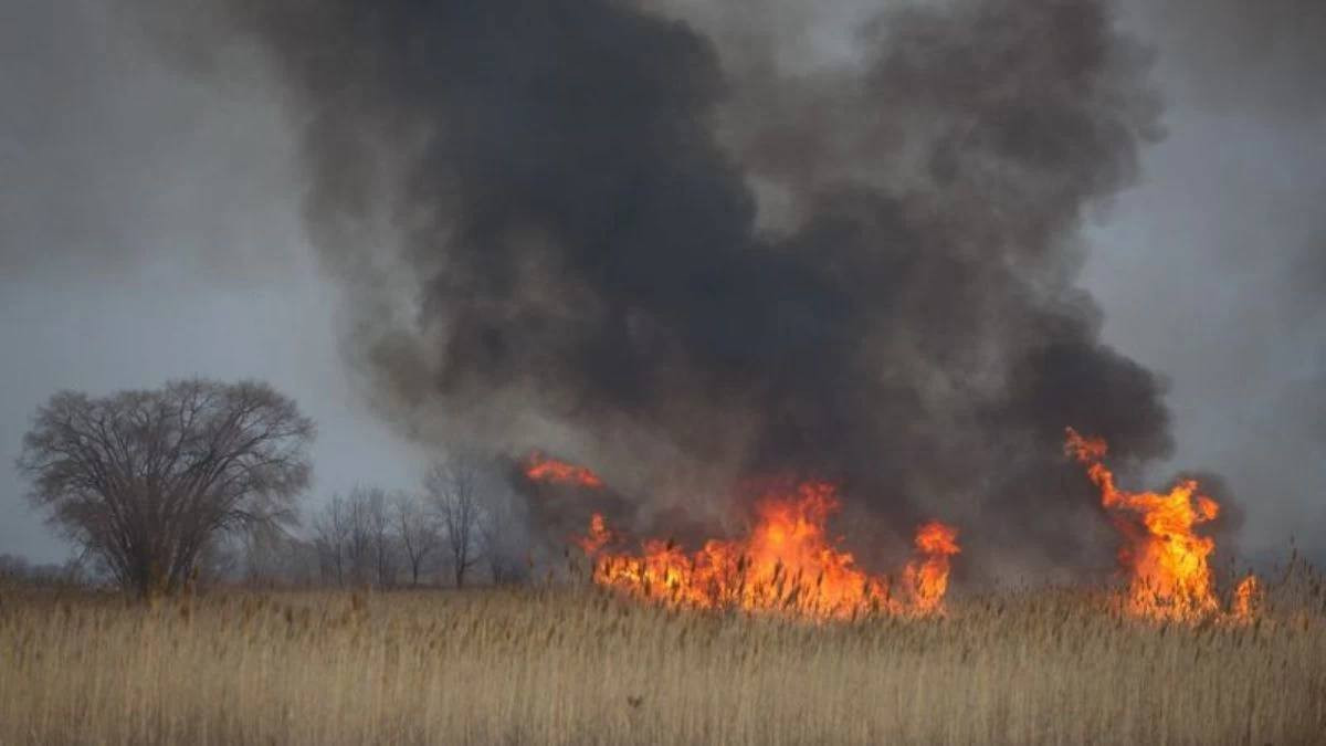  Ақмола облыстық ТЖД 