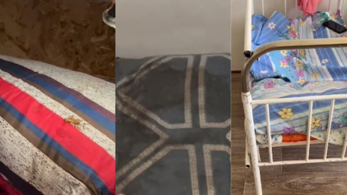  Кадры из видео 