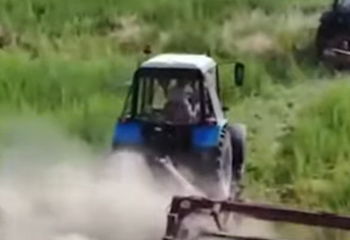 Жамбыл облысында 21 тоннадан астам жабайы қарасора жойылды