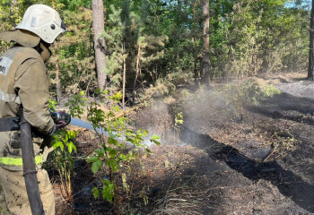 Абай облысындағы өртке байланысты гуманитарлық көмек жинау тоқтатылды