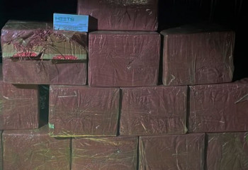 Пограничники остановили контрабанду на сумму свыше 6 млн тенге