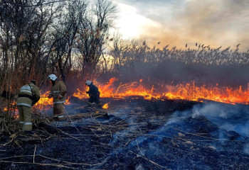 Қорғалжын ауданындағы қамыс өрті сөндіріліп жатыр
