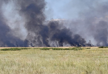 Возгорание камыша на озере Сарыколь Коргалжынского района локализовано