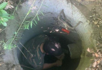 Телёнка из пятиметровой ямы вытащили спасатели в Усть-Каменогорске