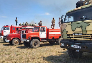 В Коргалжынском заповеднике локализовали пожар