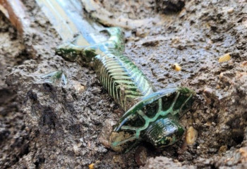 В Германии обнаружен сверкающий древний меч, выкованный более 3000 лет назад