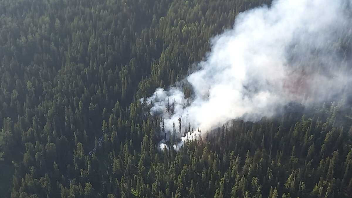 Снова пожар в заповеднике – лес горит на территории Риддера