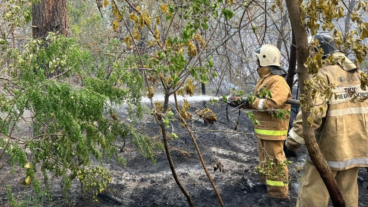  ТЖД-нің баспасөз қызметі 