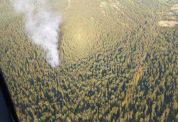Пожар на территории заповедника в ВКО локализован