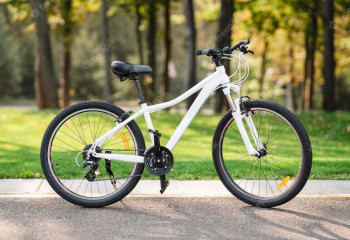 Қытайдан велосипедпен шыққан қос қандас Астанаға аман жетті