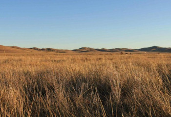 В Жамбылской области около 5 тысяч га земель возвращено в госсобственность