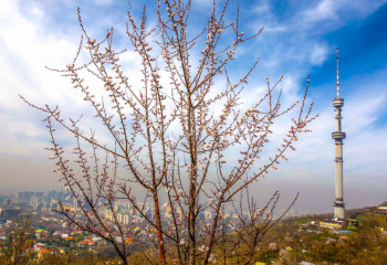 Алматыдан 839 шақырым аумақта жер сілкінді