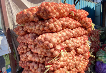 Қалған 800 мың тонна пияз қайда? – Ерболат Саурықов