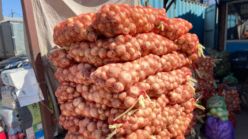  ©El.kz/Нүркен АЛИШЕВ 