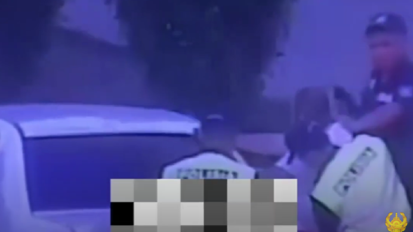  Видеодан кадр 