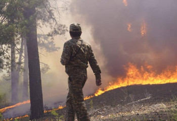 Абай облысындағы өртті сөндіруге 500-ден астам адам жұмылдырылды