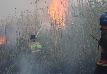 Астанаға Ақмола мен Қарағанды облыстарының ТЖД күштері келе жатыр
